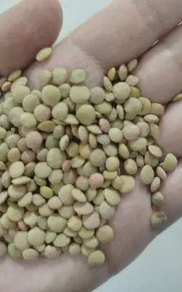 فروش