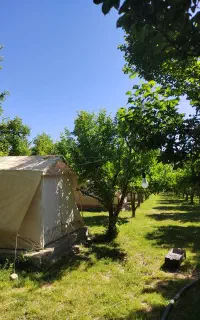 چادر 12 متری اسکلت فلزی مخصوص کمپ تو طبیعت