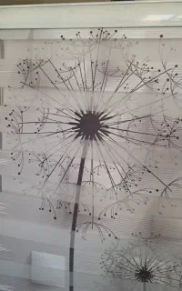 زبرا طرح قاصدک
