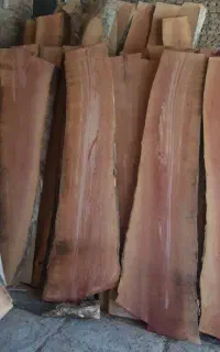 نیروی کار
