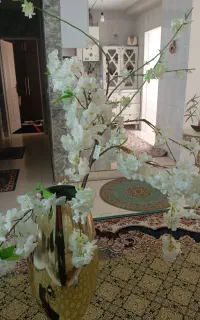گل و گلدان با شکوفه های خارجی نونو