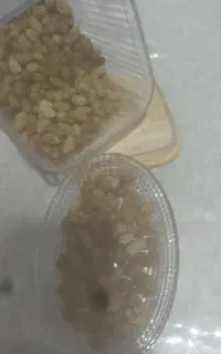 توت خشک قیمت مناسب