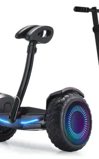دسته دار اسکوتر  برقی  با صفحه نمایش دیجیتال **