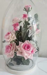 باکس گل شیشه ای