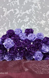گل ربانی