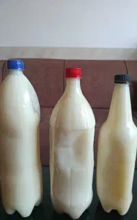 روغن محلی