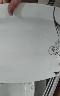 ظروف پذیرایی