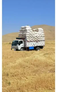 کاه درجه یک بازار