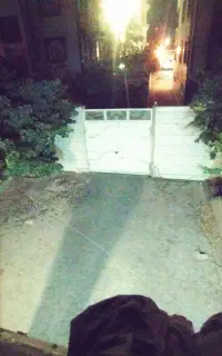 تقبل گربه