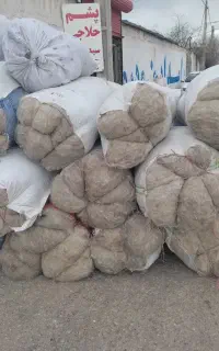 پشم حلاجی