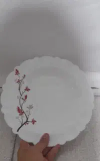 سرویس ارکوپال
