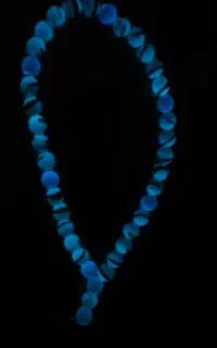 گردنبند و تسبیح چهره