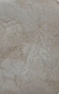 انواع مکمل، پیش مخلوط و افزودنی خوراک دام و طیور