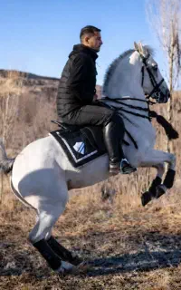 اسب نریان سرلشگر