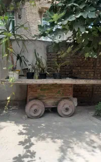 گاری میوه فروشی