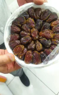 خرمای اهرم بوشهر