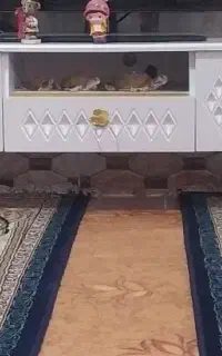 وسایل منزل نونو