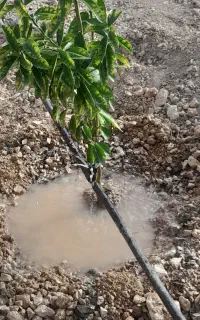 لوله کشی آب سردگرم .لوله کشی فاضلاب. لوله کشی باغ.