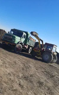 کود حیوانی کودگاو کود اسب