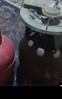پیک نیک