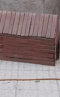 آشیانه مرغ