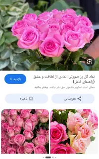 گل زیبا بفروش میرسد