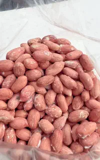 بادام زمینی استانه و بادام کره گیری