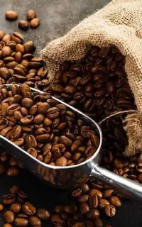 فروش انواع دان قهوه و پودری جات