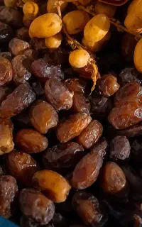 شیره خرما و شیره انگور،،خرما و کشمش