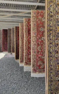 یک نفر پادو جهت کارخدماتی