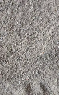 پودر مناسب خوراک دام و طیور