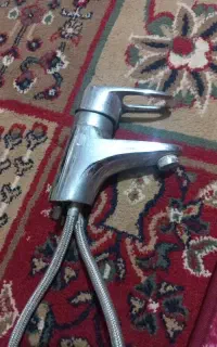 شیر دوقلو مال دستشویی