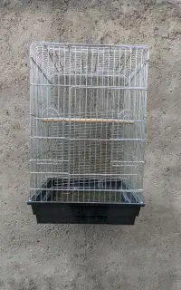 قفس