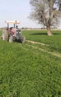 جایگزین اوره ۱۰۰٪ تضمینی
