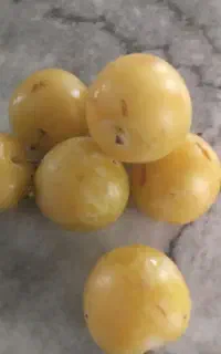 آلو خورشتی