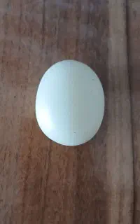 سنگ آسمانی سخت تر از الماس ۴۵۱۱