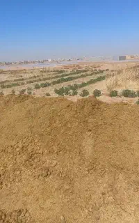 ملزومات اسب