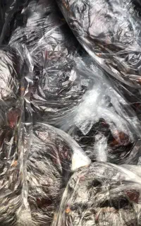 فروش خرما
