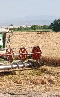 فروش کمباین کلاس مدیون