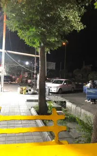 هم کار جهت باریستا دماوند گیلاوند