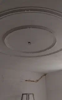 گچکار و لکه گیری