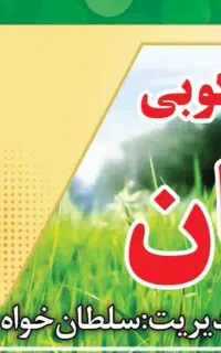کارگر برای کارخانه برنجکوبی
