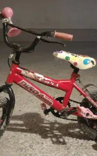دوچرخه