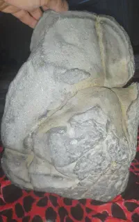 شهاب‌سنگ اهنی ودیوژینت وستا4.