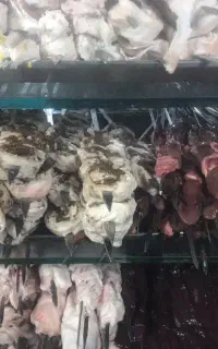 به یک تخته کار حرفه ای برای  جیگرکی نیازمندیم