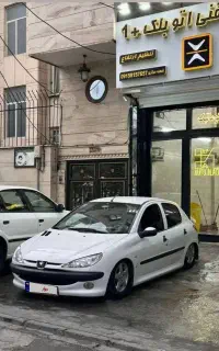 ۲۰۶ پنوماتیک عروسک کم کار ۸۰ تا