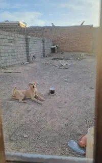 چهار دیواری مساحت ۲۰۰متر مربع
