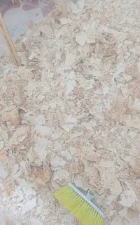 فرونان ذرکازرون