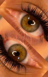 خدمات تخصصی کاشت مژه و لیفت ابرو/ لاکانی عطاافرین