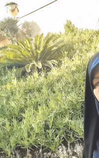 شرکت هلدینگ نگار ایران زمین